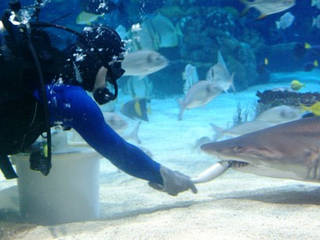 Tropicarium Budapest © Tropicarium Budapest