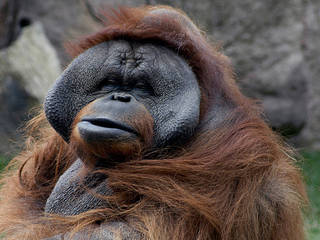 Parque Zoologico de Leon © Parque Zoologico de Leon